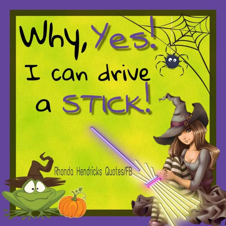 Why, Yes! I Can Drive A...