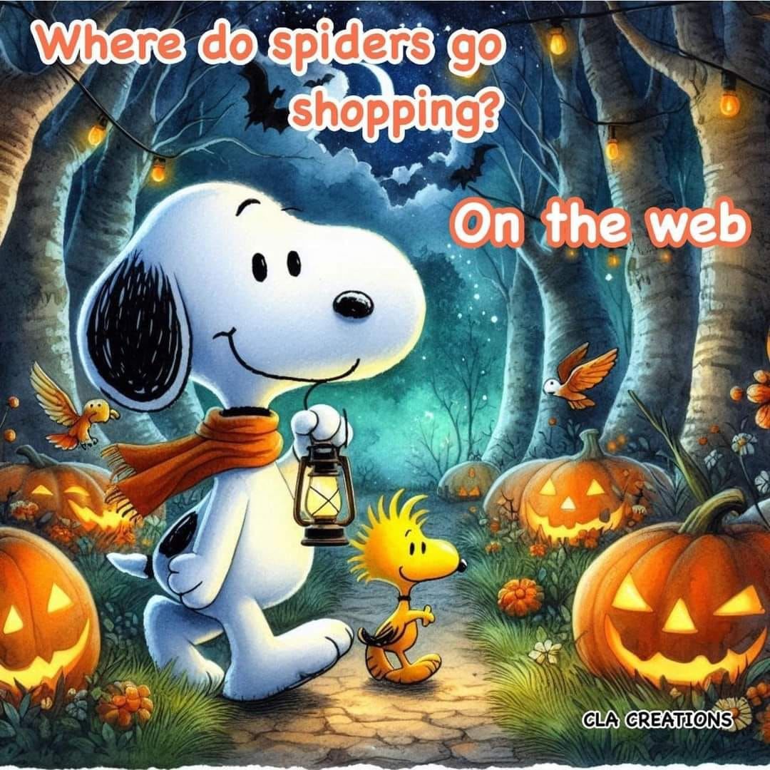 Where Do Spiders Go Shopping? On...